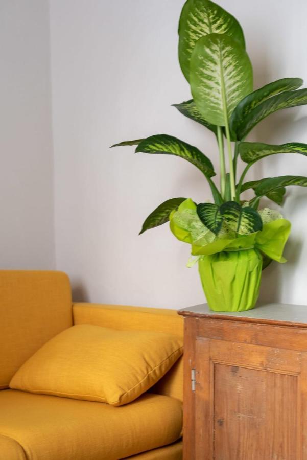 San Zanobi Family Suite In Florencie Exteriér fotografie